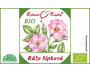 Růže šípková BIO kapky (tinktura) 50 ml