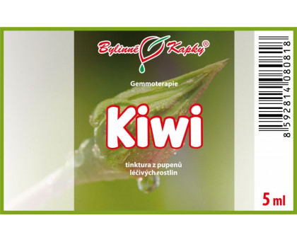 Kiwi 5 ml - gemmoterapie
