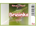 Brusinka - tinktura z pupenů 5 ml - gemmoterapie