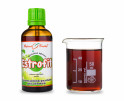 Estrofit - Bylinné kapky (tinktura) 50 ml