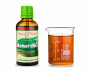 Moringa olejodárna kvapky (tinktúra) 50 ml