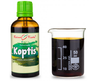 Koptis - bylinné kapky (tinktura) 50 ml