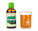 Atraktylis (TCM) - bylinné kapky (tinktura) 50 ml