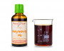 Rakytníkový olej 50 ml - přírodní za studena lisovaný 260 mg karotenoidů / 100 ml