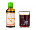 Rakytníkový olej 50 ml - přírodní za studena lisovaný - přírodní beta karoten