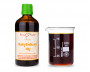 Rakytníkový olej 100 ml - přírodní za studena lisovaný 260 mg karotenoidů / 100 ml