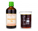 Rakytníkový olej 100 ml - přírodní za studena lisovaný - přírodní beta karoten