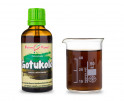 Gotukola (gotu kola) - bylinné kapky (tinktura) 50 ml