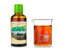 Kryptolepis (Cryptolepis) - bylinné kapky (tinktura) 50 ml