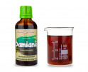 Damiana (pastala) - bylinné kapky (tinktura) 50 ml