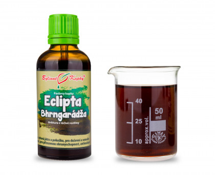 Eclipta (Bhrngarádža) kapky  (tinktura) 50 ml
