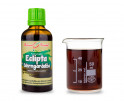 Eclipta (Eklipta - Bhrngarádža) bylinné kapky  (tinktura) 50 ml