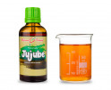 Jujube (jujuba) (TCM) - bylinné kapky (tinktura) 50 ml