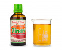 Jinan list (Ginkgo) - kapky Duše rostlin (tinktura) 50 ml