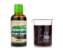 Vinič hroznorodý šupky a semená kvapky - resveratrol - (tinktúra) 50 ml