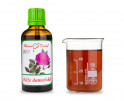 Ruža damascénska BIO kvapky (tinktúra) 50 ml