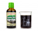 Terminalia chebula (Harítakí) - Pavlovy bylinné kapky (tinktura) 50 ml
