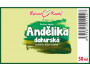 Andělika dahurská (angelika, děhel dahurský) (TCM) - bylinné kapky (tinktura) 50 ml