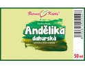 Angelika dahurská kvapky (tinktúra) 50 ml