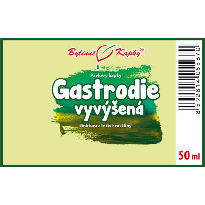 Tinktura z gastrodie vyvýšené|Gastrodie vyvýšená|Fytoterapia|Bylinné kvapky|Pavlove tinktúry|TIAN MA
