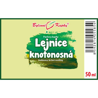 Tinktura z lejnice knotonosné|Lejnice knotonosná|Fytoterapia|Bylinné kvapky|Pavlove tinktúry|PANG DA HAI