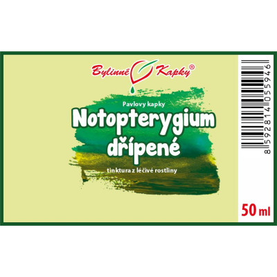 Notopterygium (TCM) - Pavlovy bylinné kapky (tinktura)