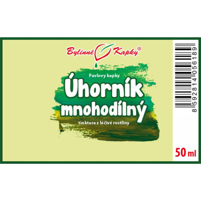 Tinktura z úhorníku mnohodílného|Úhorník mnohodílný|Fytoterapia|Bylinné kvapky|Pavlove tinktúry|TING LI ZI