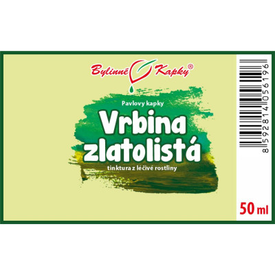 Tinktura z vrbiny zlatolisté|Vrbina zlatolistá|Fytoterapia|Bylinné kvapky|Pavlove tinktúry|JIN QIAN CAO