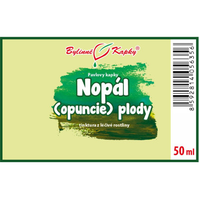 Tinktúra z tinospóry|Tinospóra srdcolistá|Fytoterapia|Guduchi|Bylinné kvapky