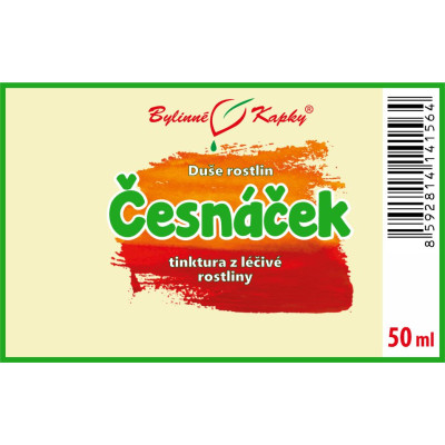 Tinktura z česnáčku|Česnáček|Duše rostlin|Tinktury z živých rostlin