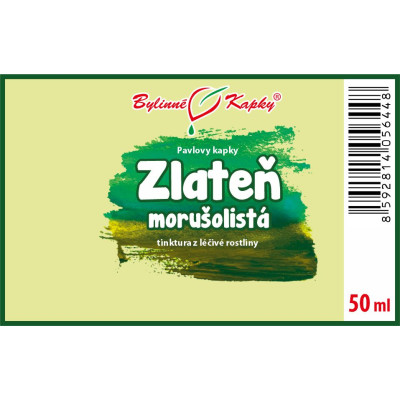 Tinktura z chryzantémy|Hryzantéma-zlateň morušolistá|Bylinné kapky