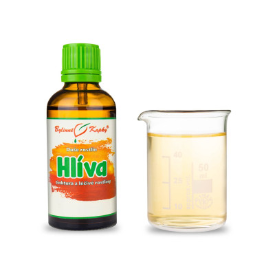 Bylinná tinktúra z hlivy|Duša rastlín|Hliva|Tinktúry zo živých rastlín