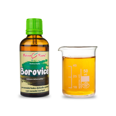 Tinktúra z výhonkov borovice|Borovice výhonky|Bylinné kvapky - tinktúry