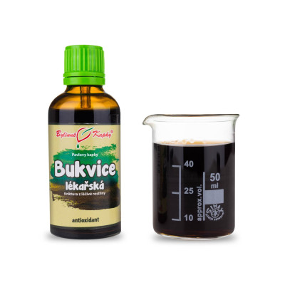 Bukvice lékařská kapky (tinktura) 50 ml