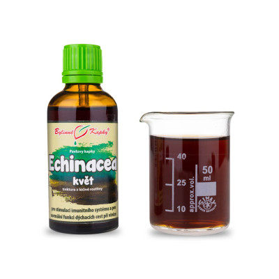 Echinacea (třapatka) kapky - květ (tinktura) 50 ml