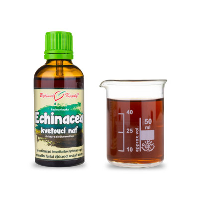 Tinktúra z echinacea|Echinacea kvitnúca vňať|Fytoterapia|Bylinné kvapky