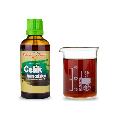 Celík (zlatobýl) kanadský kapky (tinktura) 50 ml