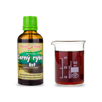 Černý rybíz list kapky (tinktura) 50 ml