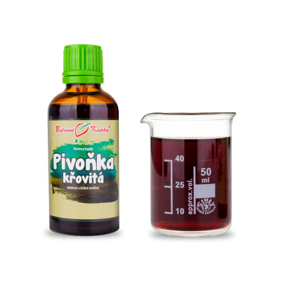 Bylinná tinktúra z pivonky|Pivonka krovitá|Fytoterapia|Bylinné kvapky