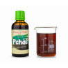 Pcháč (TCM) - Pavlovy bylinné kvapky (tinktúra) 50 ml