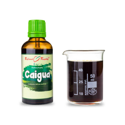 Caigua - bylinné kapky (tinktura) 50 ml