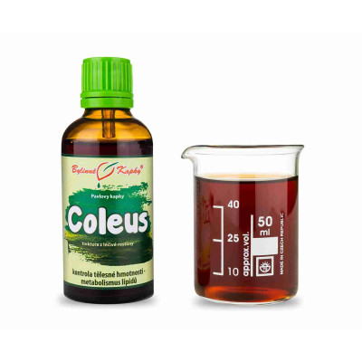 Coleus - bylinné kapky (tinktura) 50 ml