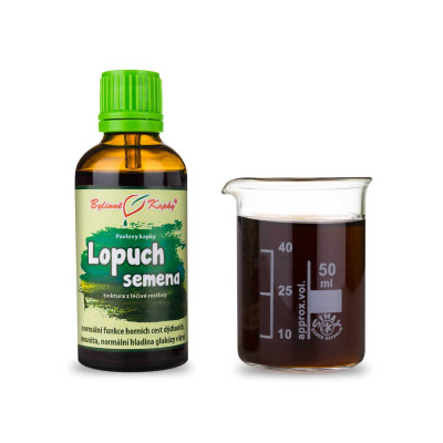 Bylinná tinktúra z lopúcha|Lopúch semená|Fytoterapia|Bylinné kvapky