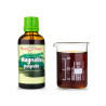 Magnólia puky kvapky (tinktúra) 50 ml