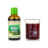 Ruža galská kvapky (tinktúra) 50 ml