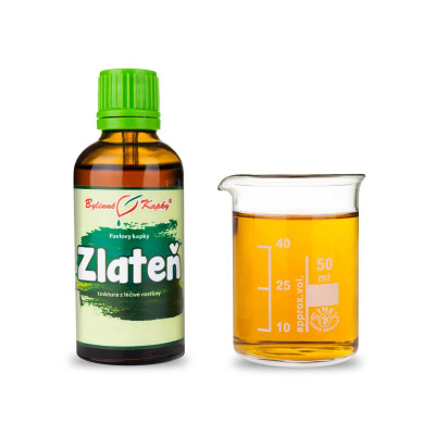 Zlateň (chryzantéma) - bylinné kapky (tinktura) 50 ml