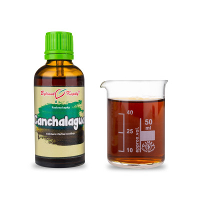 Canchalagua - bylinné kapky (tinktura) 50 ml