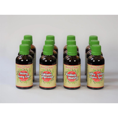 Netopýr max - kompletní sada tinktur - Buhner protokol - bylinné kapky (tinktury) 12 x 50 ml