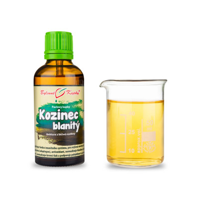 Kozinec blanitý kapky (tinktura) 50 ml