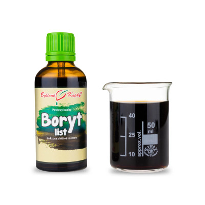 Tinktúra z listov borýtu|Prírodné antibiotiká|Fytoterapia|Bylinné kvapky